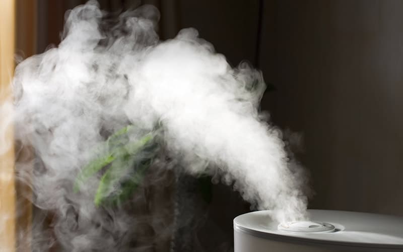 Humidifiers Are Healthy For Your Family