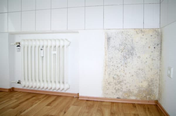 4 Surprising Places Mold Might Be Lurking in Your Home